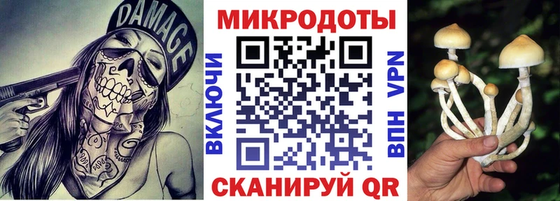 Псилоцибиновые грибы мухоморы  магазин  наркотиков  Сокол 